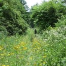 매봉산2 이미지