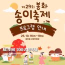 경북 봉화 여행 가을 봉화송이축제 농특산물한마당 몰아보기
