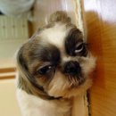 비몽사몽 이미지