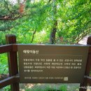 산수화길 네이버블로그