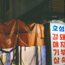 D01096 Daum카페
