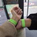 주식회사 테이블에이 고양이카페 | 홍대 실내 데이트 추천! 고양이부터 알파카까지 만나는 테이블에이의 모든것