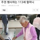 주권행사하는 113세할머니 이미지