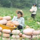 참샘골농장