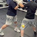 역동복싱 | 건강한 에너지가 팡팡! 김포 복싱, 이제는 취미로 즐겨요!