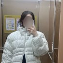 다운템포 | 인템포무드 패딩추천 예티 푸퍼 덕다운 패딩 클리어컬러