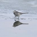 금강수변공원5 이미지