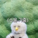 딩동댕 - 창원시 마산회원구 석전동13길 35 | 딩동댕