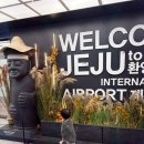 가을호텔 | 아기랑 가을 제주여행, 제주 더본호텔 후기, 서귀포카페 담소요