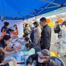 여성도시 이미지