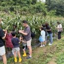 오금1리 이미지