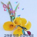 김*태 이미지