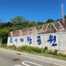 여황로가로수 이미지