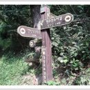 천주산 누리길 이미지