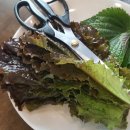 동인동찜갈비 이미지