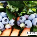 구술농장 네이버블로그