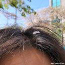 백성족발 | [25.04.18~20] 서울여행_콜드플레이 내한콘, 국립중앙박물관, 맛집투어