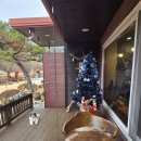 담소원 | 홍천펜션에서의 힐링 시간, 스테이담소원 방문 후기