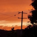 전선야곡 이미지