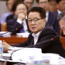 박지원 카카오 검색결과