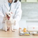 투게더 동물병원 이미지