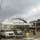 광덕오름길 | 새벽일찍 나간 양재 꽃 시장.