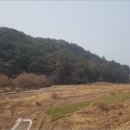 삼동면 물건1 이미지