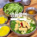 경주 맛집 박용자경주명동쫄면 본점 오픈런 후기