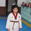 한국체대 다온태권도 이미지