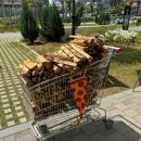 [마곡 맛집] 마곡 화덕피자 맛집 &#39;비바나폴리&#39; 예약 없이 주말 방문후기 (내돈내산)