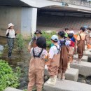 💚서호천 자연학교 2차시 2024.06.15(토) 10:00 ~ 12:00 이미지