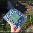 라원농장 이미지