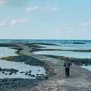 김녕돌담 이미지