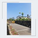 스테이해봄 이미지