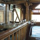 너구리의 피난처 이미지