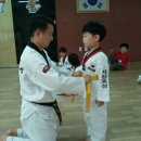 효성태권도 이미지