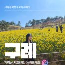 산업로2(서) | 구례 지리산 치즈랜드 수선화 맛집 개화 실시간 주차 총정리