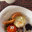 홍차투어 | [내돈내산💸] 4박 5일 몽골 중부투어 엠지에어투어 후기 (3일차-미니사막)