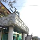 [일상] 용인시 동물보호협회 유기견 보호소 티어하임 봉사 후기 +반야선원
