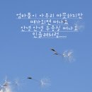 민들레홀씨작은도서관 | [국진이의이야기]4월 9일(수) - 일편단심 민들레꽃