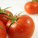 토마토 이미지