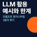 프롬프트 엔지니어링 후기-LLM 활용 예시와 한계