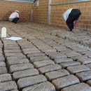 솔뫼유기농업영농조합법인 이미지