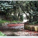 마을슈퍼 이미지