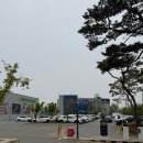 뉴드림마트정육 | 이천 부발읍 맛집 더드림바베큐하우스 한돈 가성비 최고 정육식당