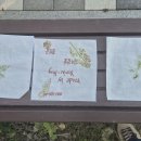 26년-10남지여중유레가 기지단-남지유채공원에 사는 나무 삶 살펴보기 이미지