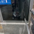 신수시장 | 노량진수산시장 손선장 에서 겨울 제철 대방어 광어 포장 구매 후기 '왔어요 왔어 겨울 대방어!'