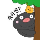 이화마트