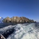 조이풀다이브리조트 이미지