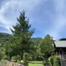 지리산풍경채2 | 지리산 중턱에 위치한 나의 힐링스팟! 또간집 숙박편 [지리산풍경채펜션]